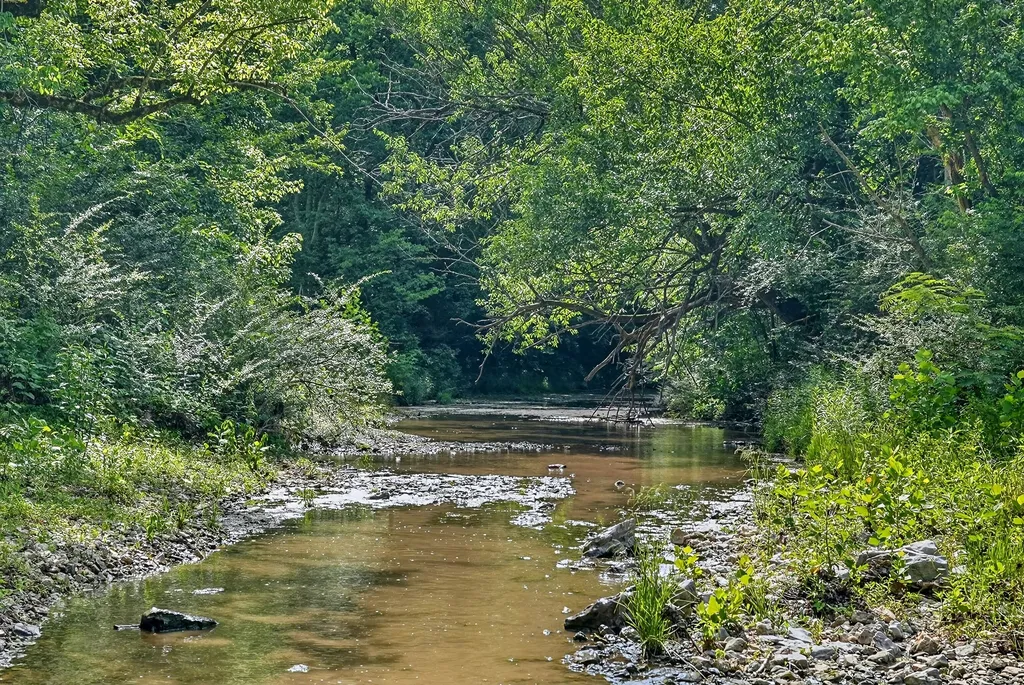 2926 Bryant Ridge Road Baxter TN 38544
