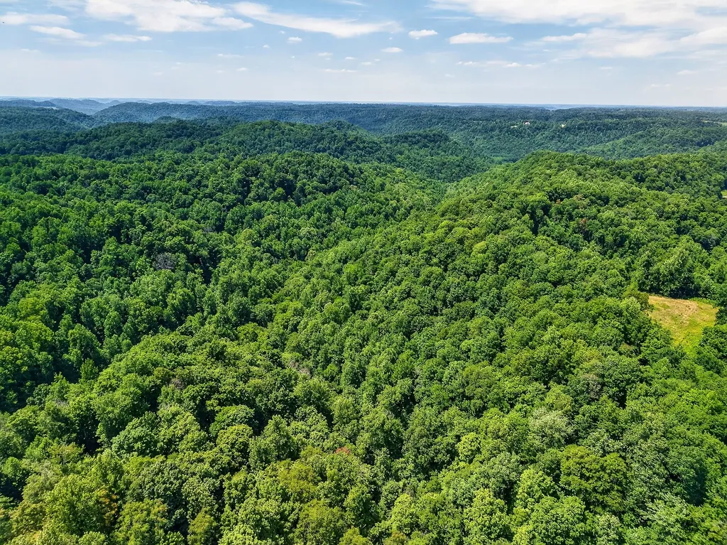 2926 Bryant Ridge Road Baxter TN 38544