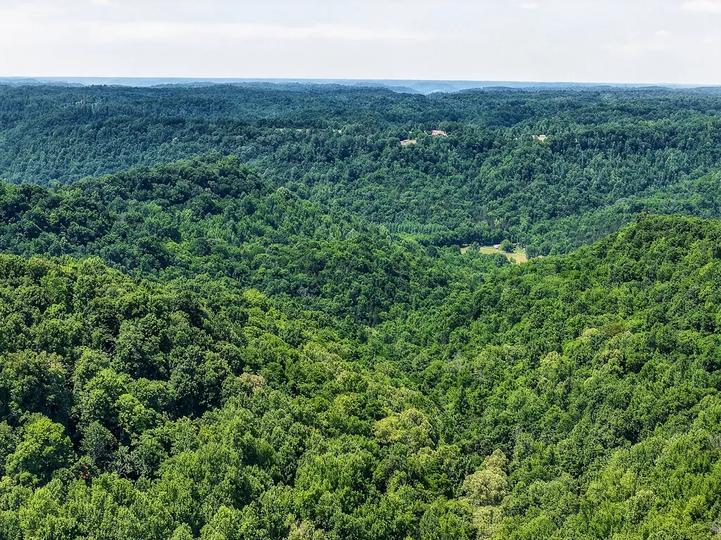 2926 Bryant Ridge Road Baxter TN 38544