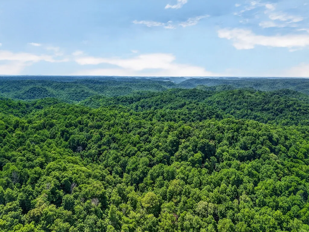 2926 Bryant Ridge Road Baxter TN 38544