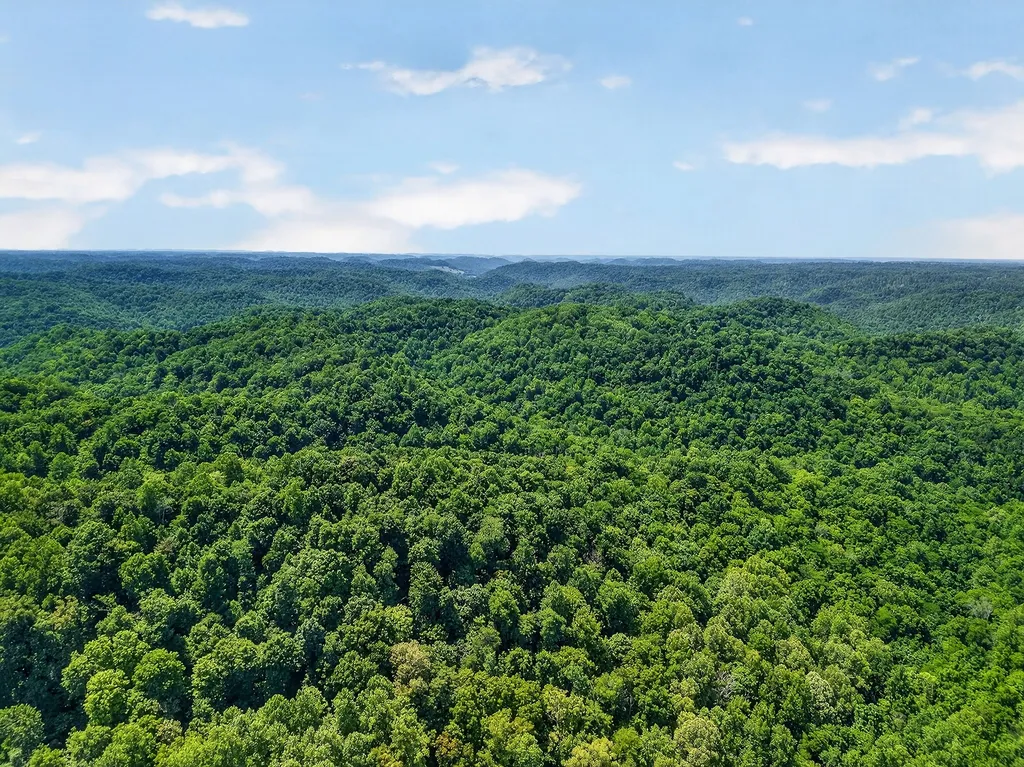 2926 Bryant Ridge Road Baxter TN 38544