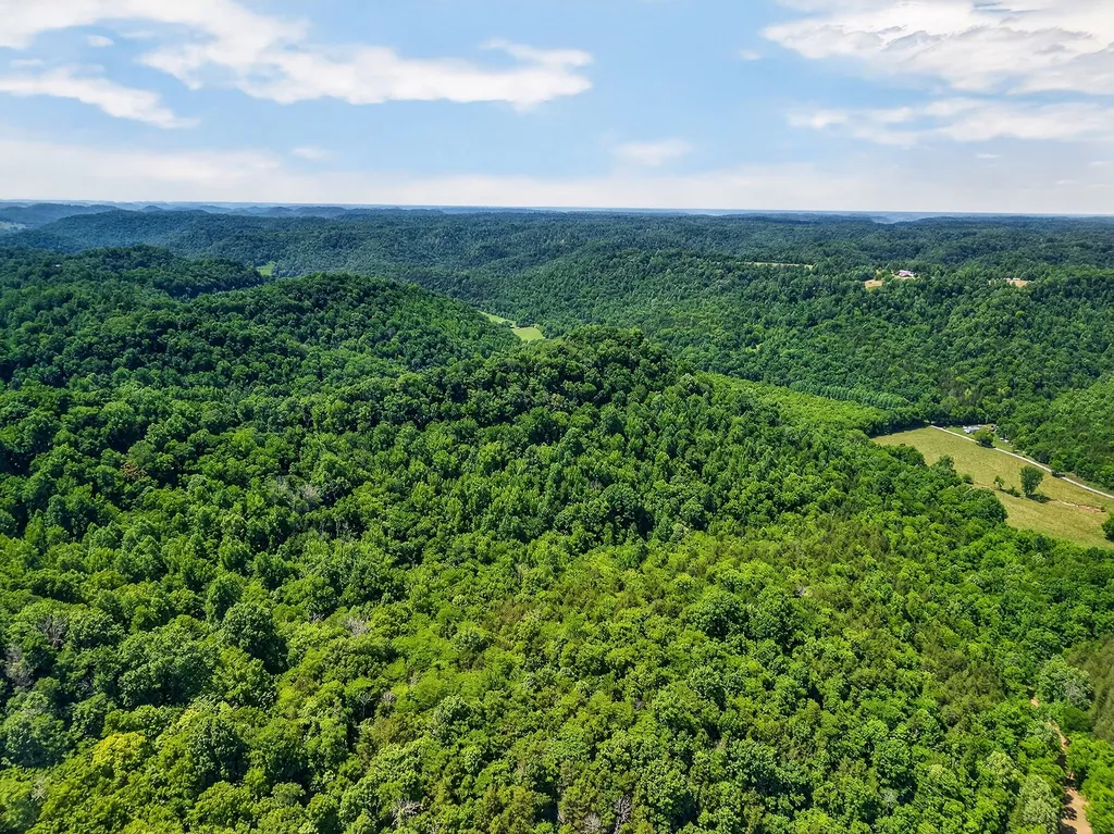 2926 Bryant Ridge Road Baxter TN 38544