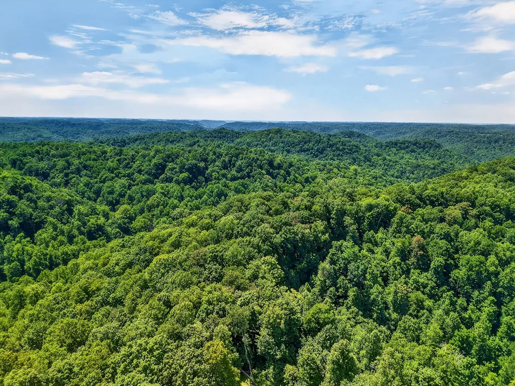 2926 Bryant Ridge Road Baxter TN 38544
