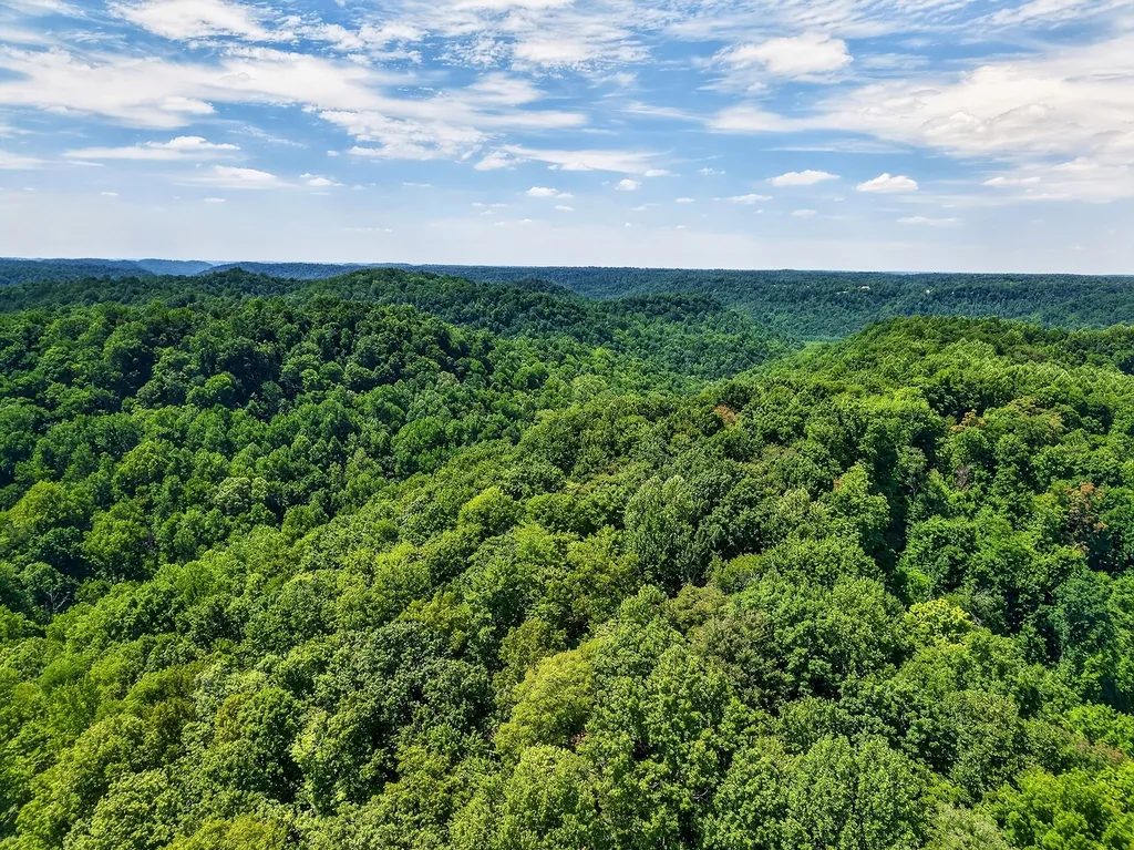 2926 Bryant Ridge Road Baxter TN 38544