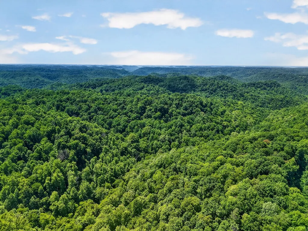 2926 Bryant Ridge Road Baxter TN 38544