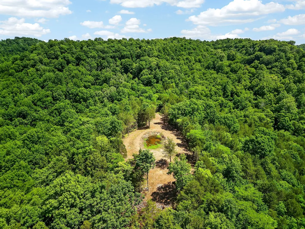 2926 Bryant Ridge Road Baxter TN 38544