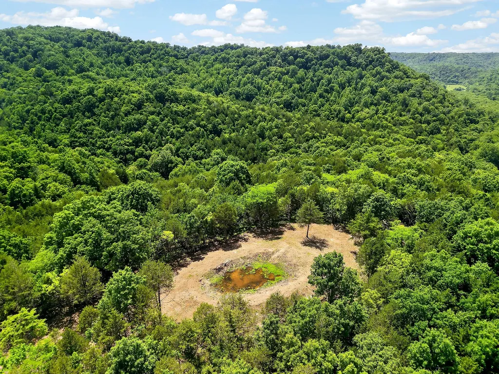 2926 Bryant Ridge Road Baxter TN 38544