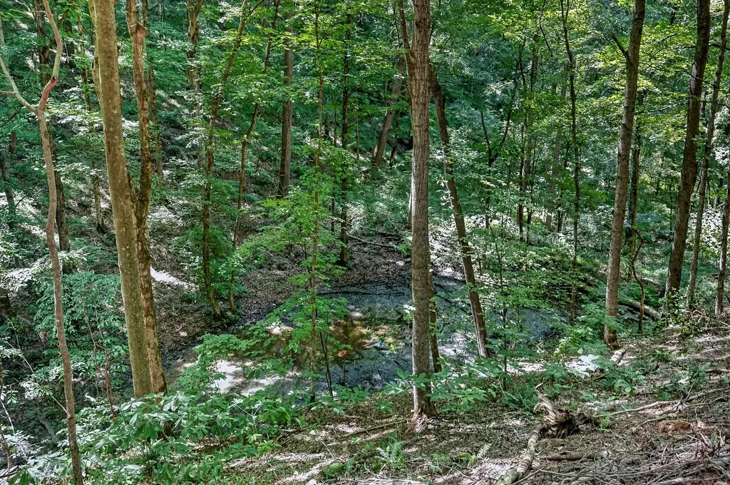 2926 Bryant Ridge Road Baxter TN 38544