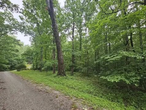 2411 Sr 56 Tracy City TN 37387