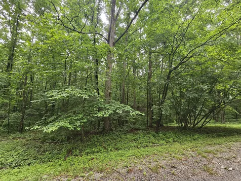2411 Sr 56 Tracy City TN 37387