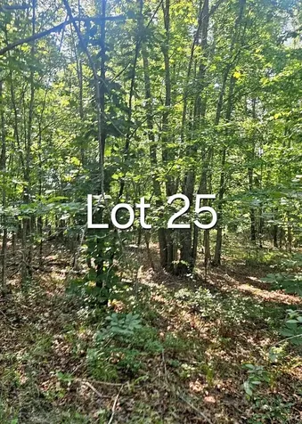 0 0 Aerie Lake Circle Summertown TN 38483