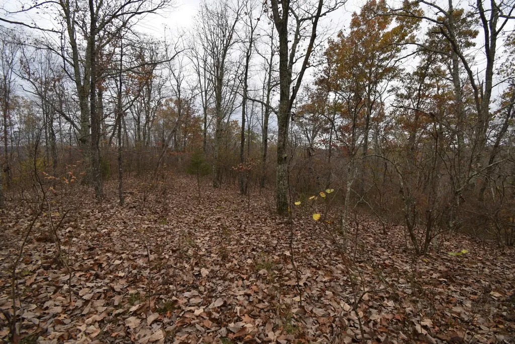 0 Depriest Bend Drive Lobelville TN 37097