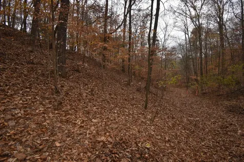 0 Depriest Bend Drive Lobelville TN 37097