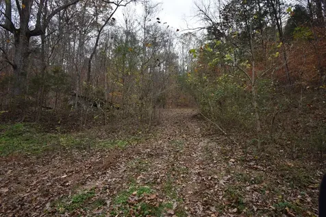 0 Depriest Bend Drive Lobelville TN 37097