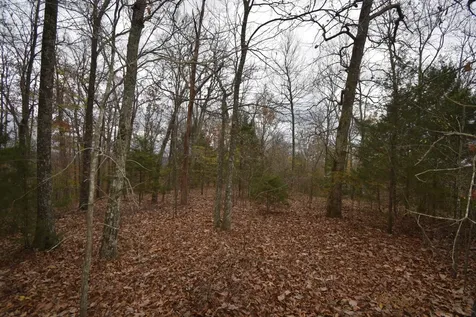 0 Depriest Bend Drive Lobelville TN 37097