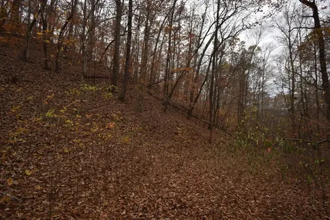 0 Depriest Bend Drive Lobelville TN 37097