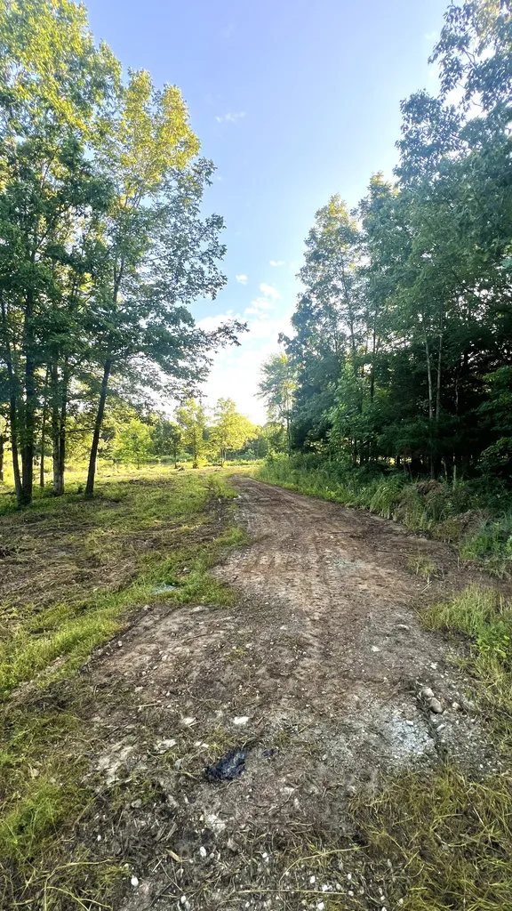 2371 Sylvia Road Dickson TN 37055