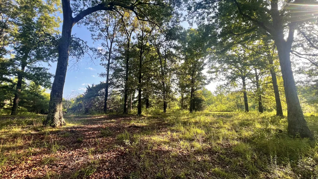 2371 Sylvia Road Dickson TN 37055