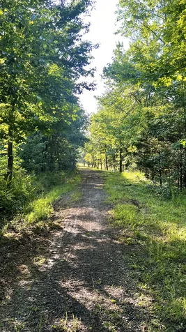 2371 Sylvia Road Dickson TN 37055