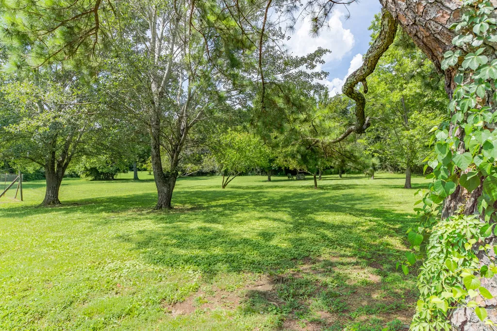 330 Holly Grove Road Lewisburg TN 37091
