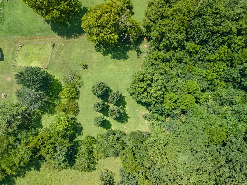 330 Holly Grove Road Lewisburg TN 37091