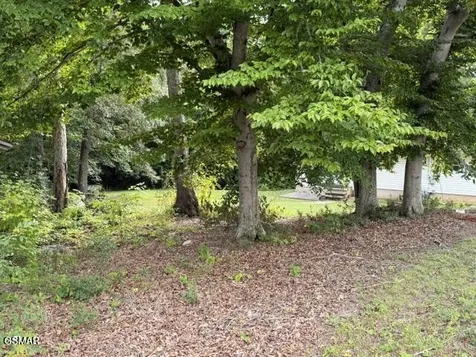 1322 Second Lane Sevierville TN 37876