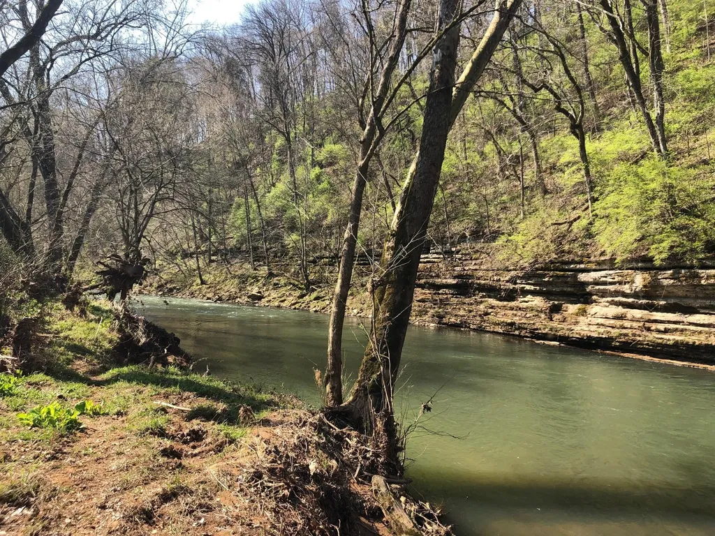1725 Rains Road Clarksville TN 37042