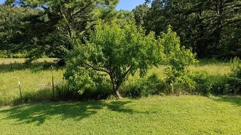 165 Smith Lane Camden TN 38320