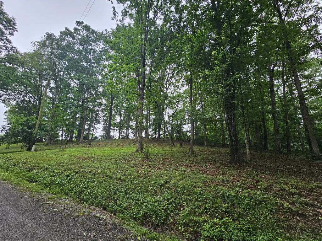 2411 Sr 56 Tracy City TN 37387