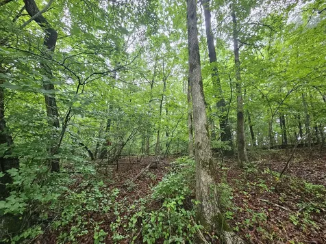2411 Sr 56 Tracy City TN 37387