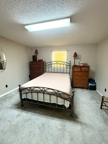 104 Rickman Drive Springville TN 38256