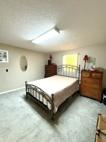 104 Rickman Drive Springville TN 38256