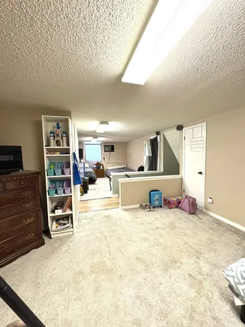104 Rickman Drive Springville TN 38256
