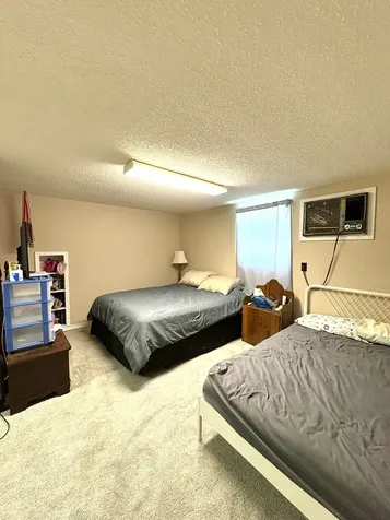 104 Rickman Drive Springville TN 38256