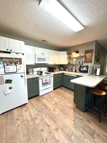 104 Rickman Drive Springville TN 38256