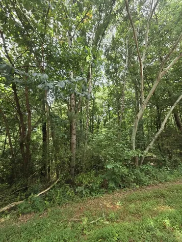 0 Callen Cove Athens TN 37303