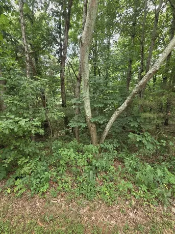 0 Callen Cove Athens TN 37303