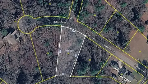 0 Callen Cove Athens TN 37303