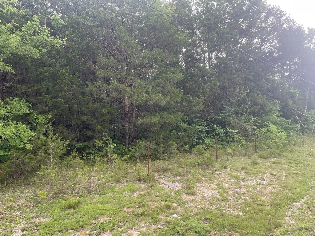 3822 Bivens Hill Road Readyville TN 37149