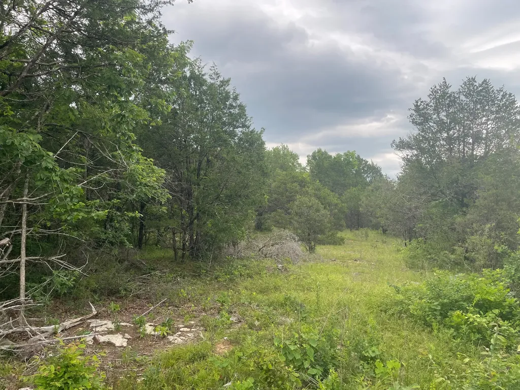 3822 Bivens Hill Road Readyville TN 37149