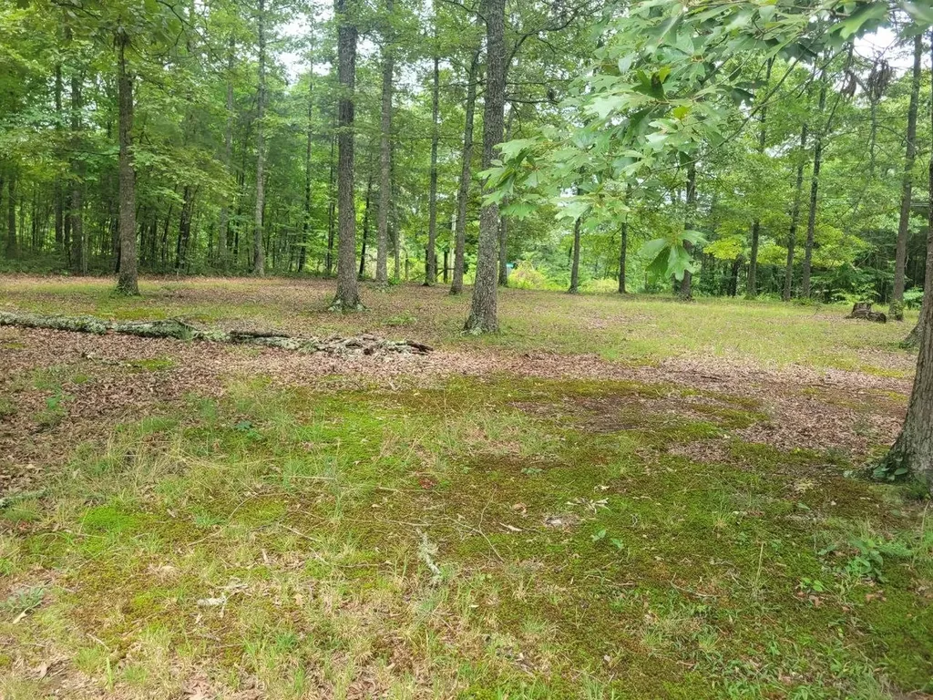 38 Arnolds Way Crossville TN 38571
