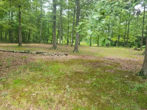 38 Arnolds Way Crossville TN 38571