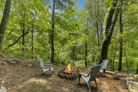 3031 Blue Buck Creek Road Duck River TN 38454