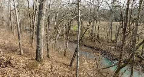 3031 Blue Buck Creek Road Duck River TN 38454