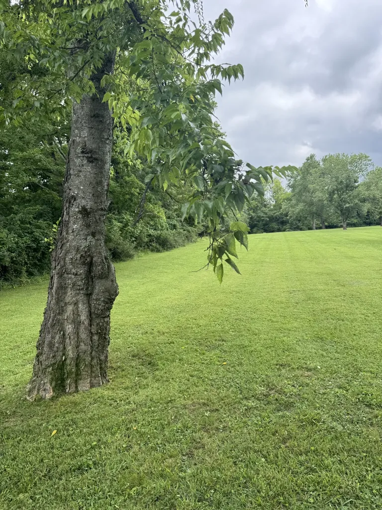 107 Tyne Bay Drive Hendersonville TN 37075