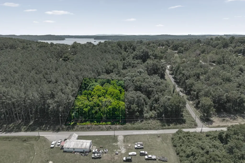 24 Hinch Street Spring City TN 37381