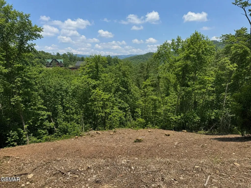 0 Grouse Ridge Lane Sevierville TN 37862
