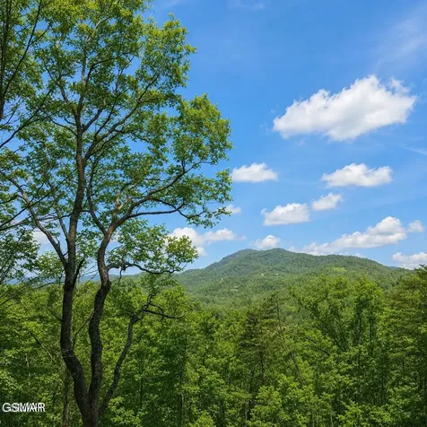 0 Grouse Ridge Lane Sevierville TN 37862