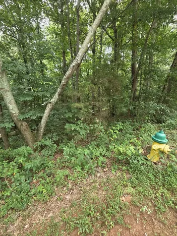 0 Callen Cove Athens TN 37303