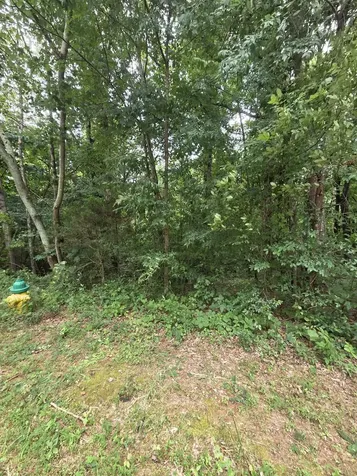 0 Callen Cove Athens TN 37303